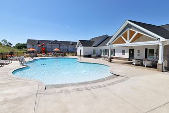 Zero entry saltwater swimming pool with tanning shelf